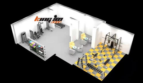 【企事業(yè)單位健身房健身器材工廠設(shè)計配置】-